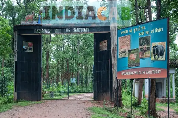 Mumbai to Pench-national-park taxi